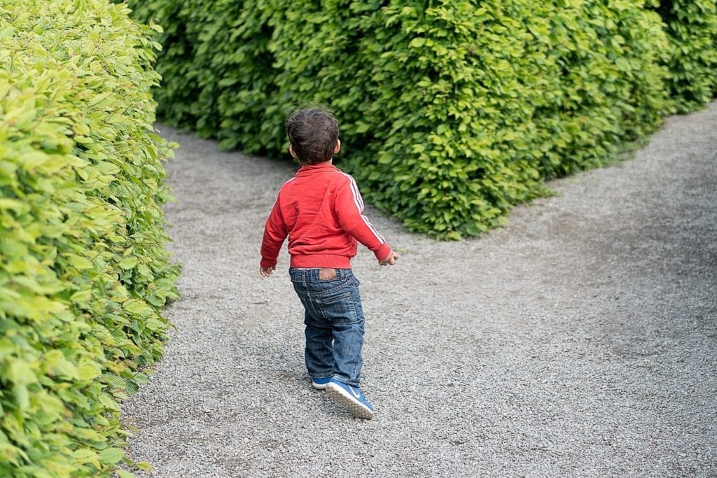 Venice with kids - get lost in the maze at Villa Pisani 
