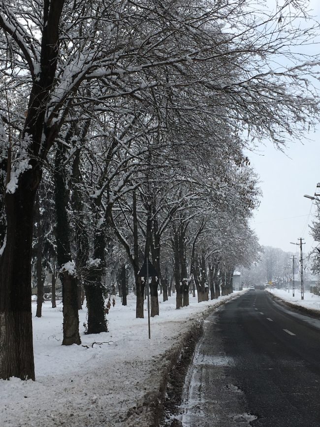 road for christmas_1545599817