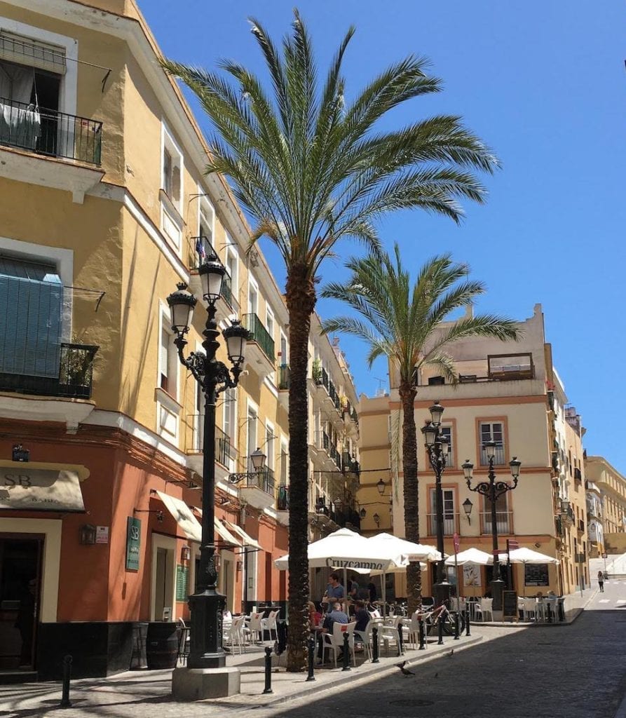 Tree-lined street in Cadiz.