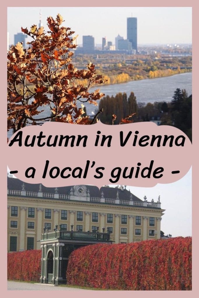 A local's complete guide to autumn in Vienna. Learn everything there is to see, do, and eat in Austria's capital in autumn. Hear it from locals about off the beaten path attractions and festivals in the city of music. At Dream, Book, and Travel we are cultural family bloggers at home in Vienna! Let us plan your stay in the city! You only have to do the dreaming! #autumn #vienna #austria #europe #culture #sightseeing #gourmet