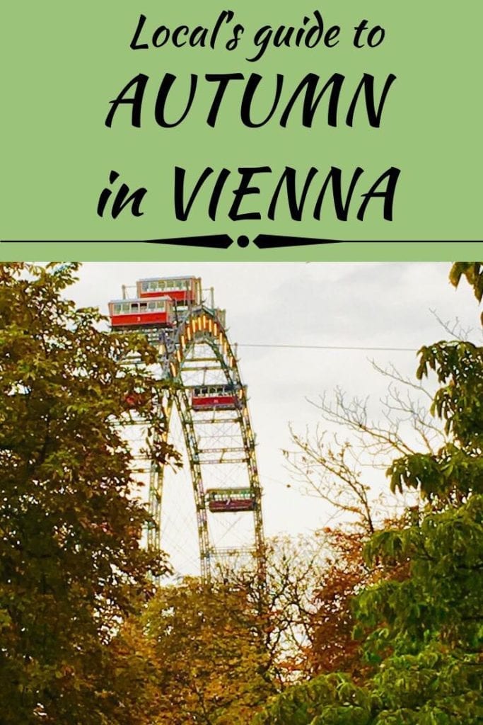 The ultimate guide to autumn in Vienna. Learn everything there is to see, do, and eat in Austria's capital in autumn. Hear it from locals about off the beaten path attractions and festivals in the city of music. At Dream, Book, and Travel we are cultural family bloggers at home in Vienna! Let us plan your stay in the city! You only have to do the dreaming! #autumn #vienna #austria #europe #culture #sightseeing #gourmet #local #tourism 