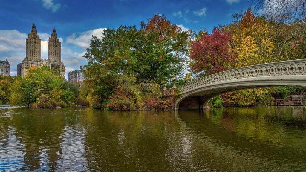 Romantic things to do in NYC -  Central Park 