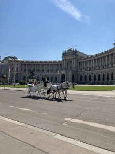 Horse-drawn carriage/fiaker in the center of Vienna