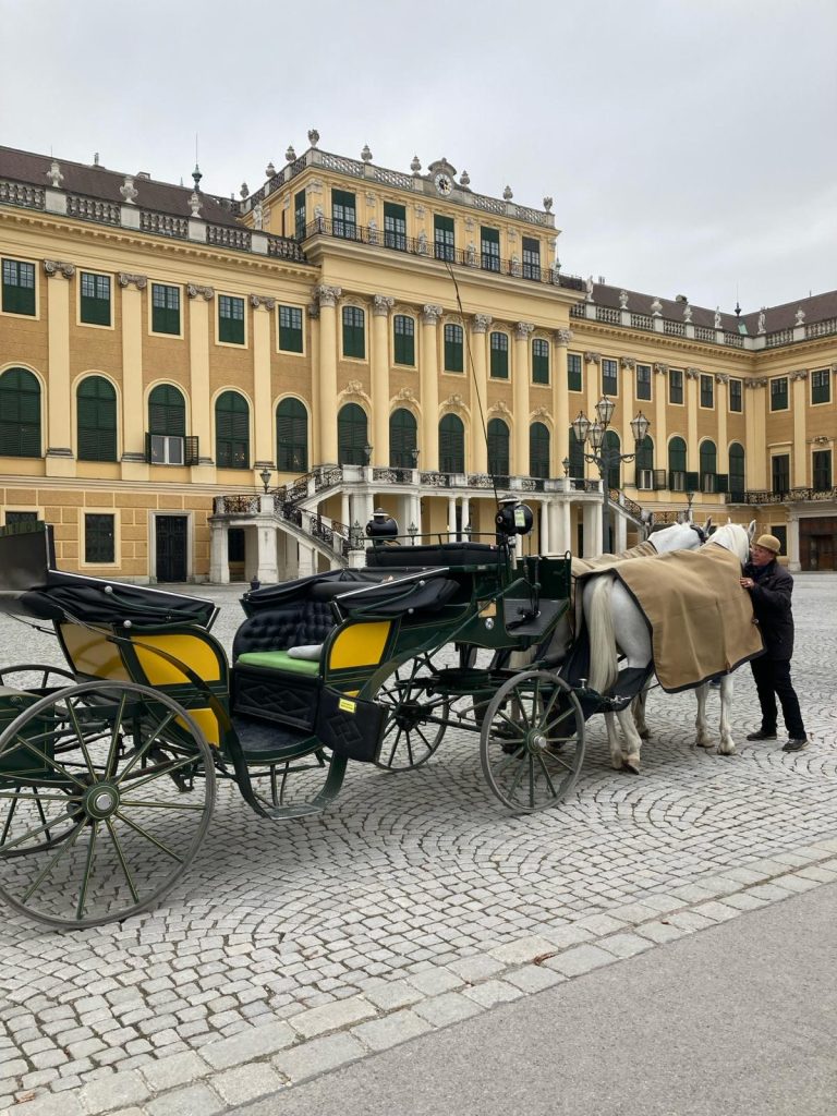 Vienna with Kids Concert Venues for Families Schonbrunn
