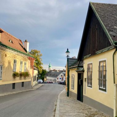 autumn in Vienna - Grinzing