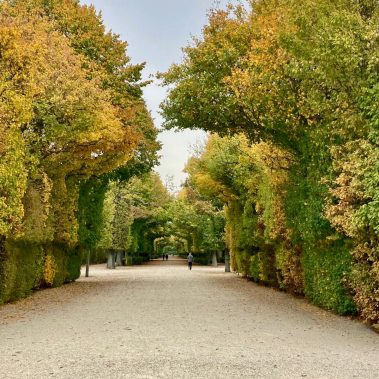 Autumn in Vienna - Schonbrunn Garden