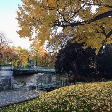 Autumn in Vienna - Stadtpark