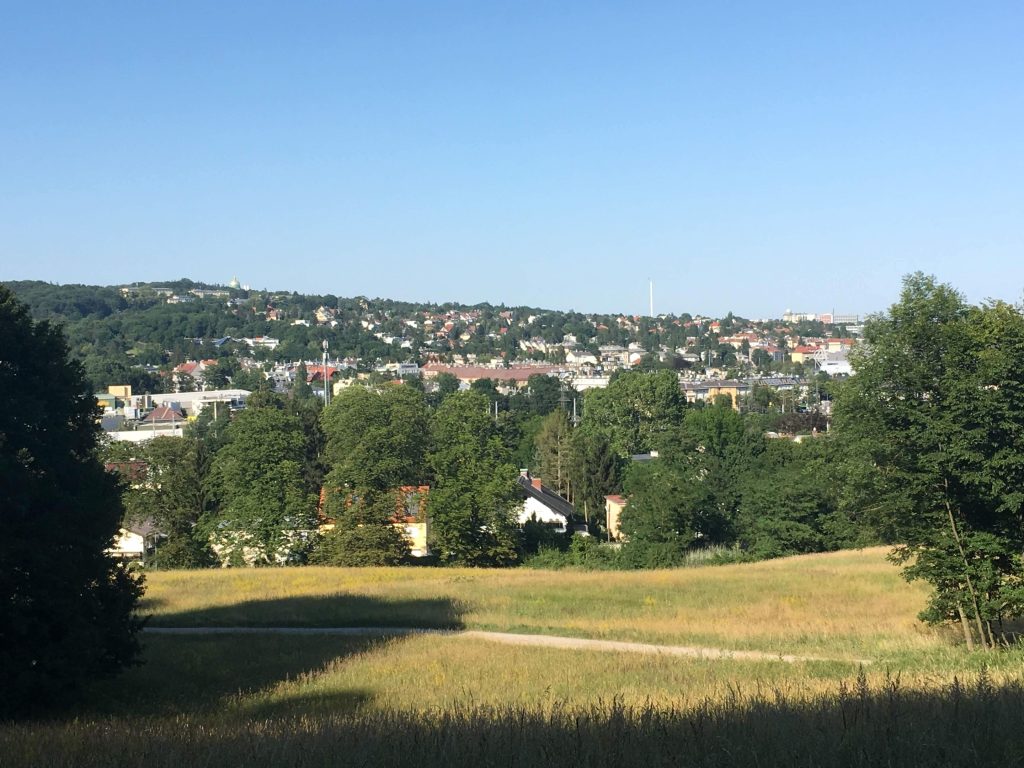 best-parks-in-Vienna-for-families-view-over-Vienna-from-Lainzer-Tiergarten.jpg